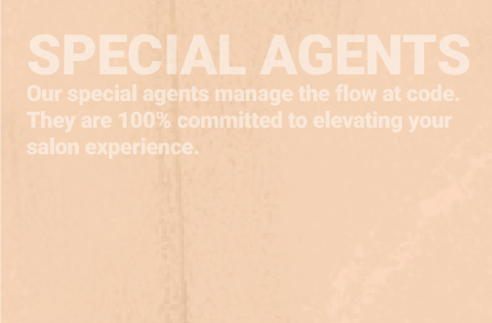Special Agents